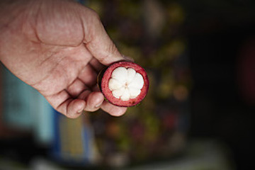 Ingredient